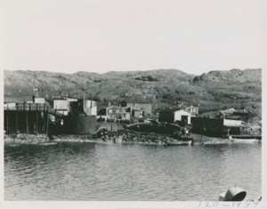 Image of Whale on the slip, Hawke's harbor